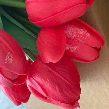 Kötü Paketleme Ve İletişimsizlik Nedeniyle Mağduriyet Yaşadım