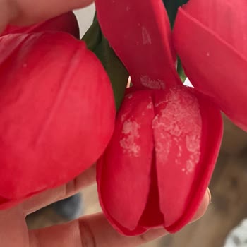 Kötü Paketleme Ve İletişimsizlik Nedeniyle Mağduriyet Yaşadım