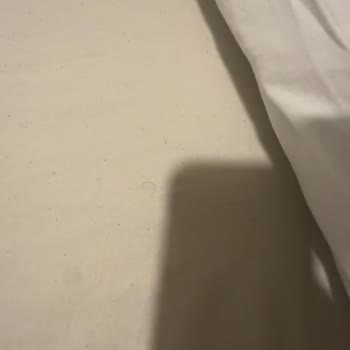 Airbnb'de Kirli Ev Ve Ev Sahibinin Olumsuz Davranışı
