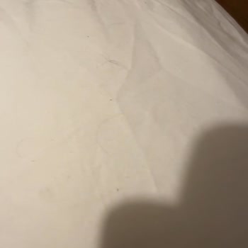 Airbnb'de Kirli Ev Ve Ev Sahibinin Olumsuz Davranışı