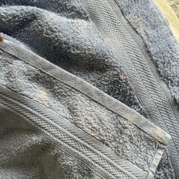 Bosch Çamaşır Makinesi Giysilerime Zarar Veriyor, Servis Sorunu Çözmüyor