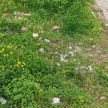 Atakum Belediyesi Mahallede Çöp Sorunu Ve Yetersiz Temizlik Hizmeti Nedeniyle Sağlık Endişesi!