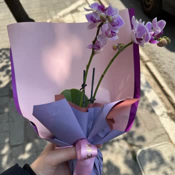 Gönderilen Çiçek Masada Bile Durmuyor, Şikayetim Dikkate Alınmadı!