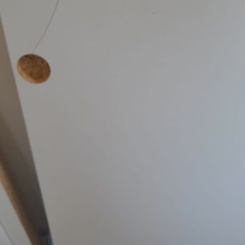 Kırık Ürünler Ve Eksik Parçalar İçin İletişim Sorunu