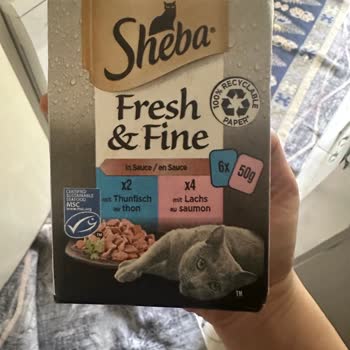 Sheba Yaş Mama Kedimde Kusma Ve Halsizlik Yaptı