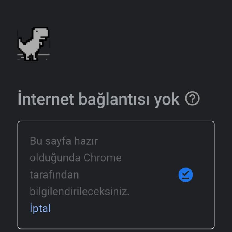 Samsung Note 20de İnternet Bağlantı Sorunu Ve Mağduriyet