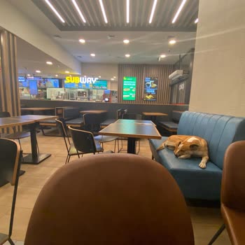 Subway Hijyen Kurallarına Uymayan Şube Güvenimi Sarsıyor