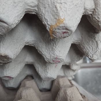 Lütfü Yüksel Marka Yumurtalarda Sürekli Kırık Ve Kalitesiz Ürün Sorunu