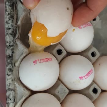 Lütfü Yüksel Marka Yumurtalarda Sürekli Kırık Ve Kalitesiz Ürün Sorunu