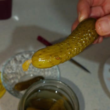 Konserve Turşuda Böcek Şoku Hijyen Endişesi