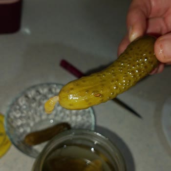 Konserve Turşuda Böcek Şoku Hijyen Endişesi