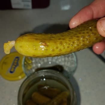 Konserve Turşuda Böcek Şoku Hijyen Endişesi