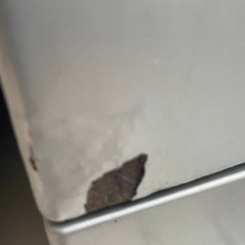 Çamaşır Makinesi Kısa Sürede Paslandı Ve Aşırı Sesli Çalışıyor