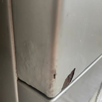 Çamaşır Makinesi Kısa Sürede Paslandı Ve Aşırı Sesli Çalışıyor