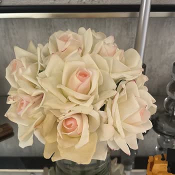 Roses Atelier Solmayan Güller Senesi Dolmadan Sarardı