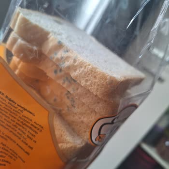 Bir Gecede Küflenen Ürün Şaşkınlığı