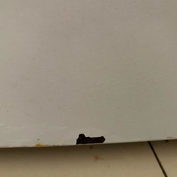 Siemens Buzdolabında Paslanma Ve Hızlı Bozulma Sorunu