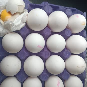 Lele Yumurta Bozuk Ve Barkodsuz Yumurtalarla Sağlığımız Tehlikeye Atılıyor