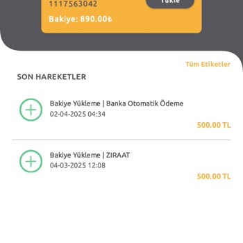 HGS Geçişinde Hatalı Ücret Çekimi Ve Bakiye Sorunu