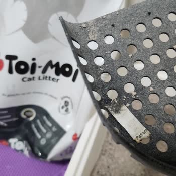 Kedi Kumunda Sigara İzmariti Ve Yabancı Maddeler Çıktı