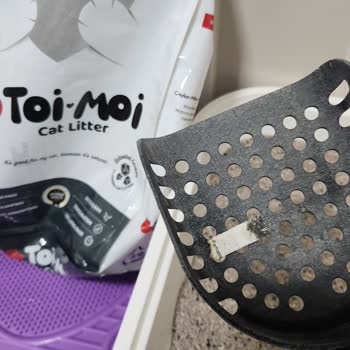 Kedi Kumunda Sigara İzmariti Ve Yabancı Maddeler Çıktı