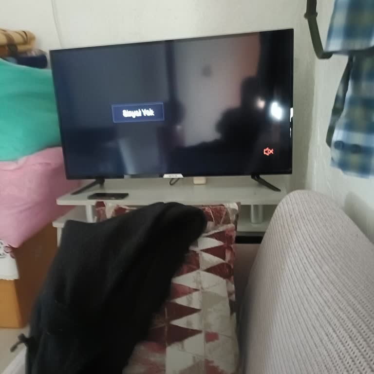 Onvo TV Yazılım Güncellemesi Sonrası Sürekli Sinyal Yok Hatası Ve Mağduriyet