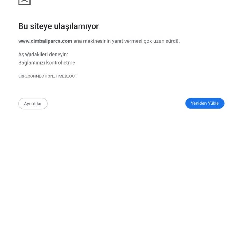 Sunucu Değişikliği Sonrası Web Sitemize Erişim Sorunu Ve Destek Yetersizliği