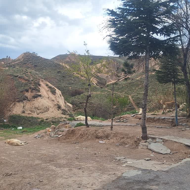 Kapadokya Turunda Söz Verilen Hizmetler Sağlanmadı, Ekstra Ücret Alındı Ve Hak İhlali Yaşandı