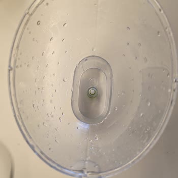 Brita Sürahinin Alt Kısmında Geçmeyen Yosunlaşma Sorunu