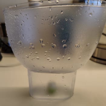 Brita Sürahinin Alt Kısmında Geçmeyen Yosunlaşma Sorunu