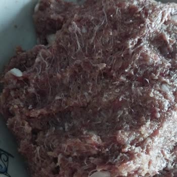 Kıymada Beyaz İp Gibi Uzayan Garip Maddelerle Karşılaştım