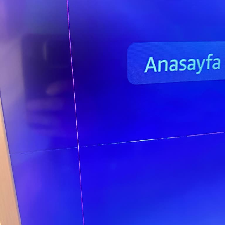 Samsung Frame Televizyonun 2,5 Yılda Ekran Arızası Ve Yüksek Onarım Ücreti