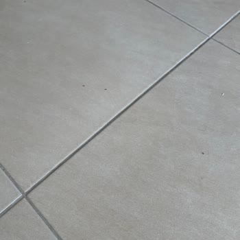 Temizlik Sorunu Ve Karınca Problemiyle Karşılaştık