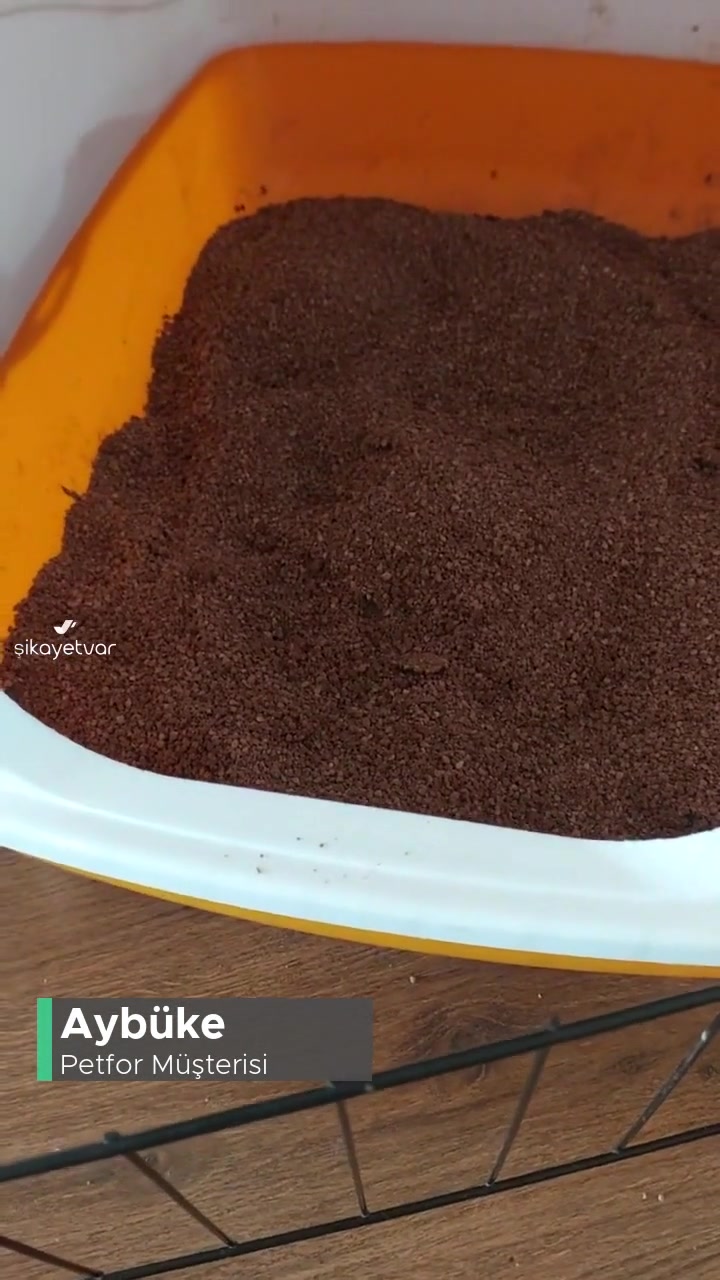 Trendyol Petfor Satıcısından Aldığım Kedi Kumunu 15 Gündür Gelmedi! videonun kapak resmi