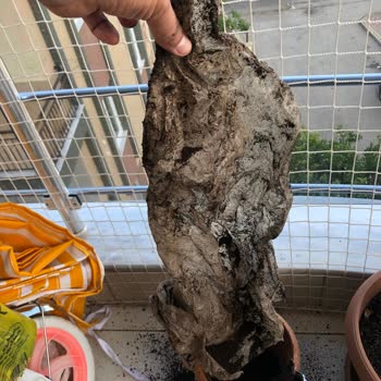 Aldığım Toprak Ürününün Yarısı Poşet Çıktı, Param Boşa Gitti