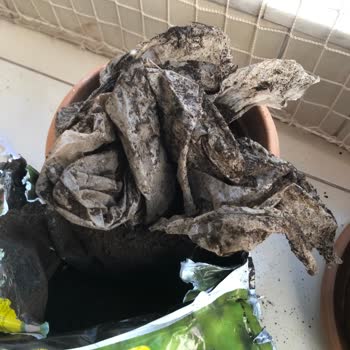 Aldığım Toprak Ürününün Yarısı Poşet Çıktı, Param Boşa Gitti