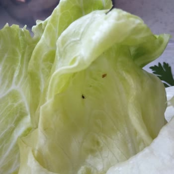 Hijyen Sorunu Ve Özensiz Paketleme: Komagene Lüleburgaz Şubesi Hayal Kırıklığı