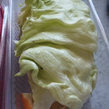 Hijyen Sorunu Ve Özensiz Paketleme: Komagene Lüleburgaz Şubesi Hayal Kırıklığı