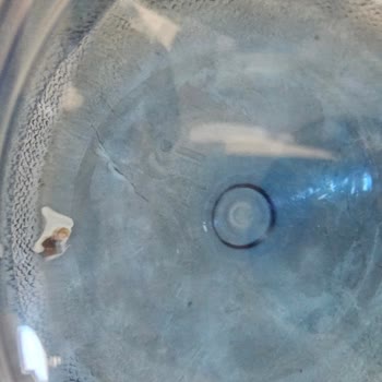 Damacana Suyunda Yabancı Madde Şoku: Güvenim Sarsıldı