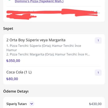 Domino's'tan Sipariş Edilen Pizzada Böcek Çıkması Nedeniyle Yaşanan Mağduriyet