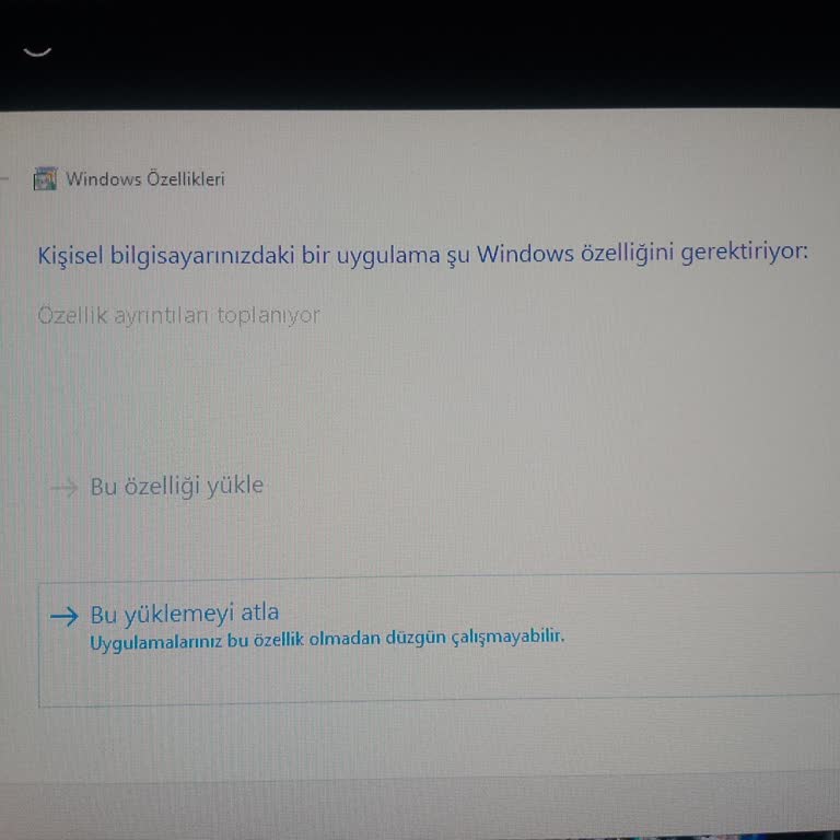 Stranded Deep Oyunu Windows Özelliği Yüklenemiyor Yardım Alamıyorum