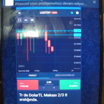 Market Mint Kurumu'nda Para Çekme Sorunu Ve Güven Kaybı