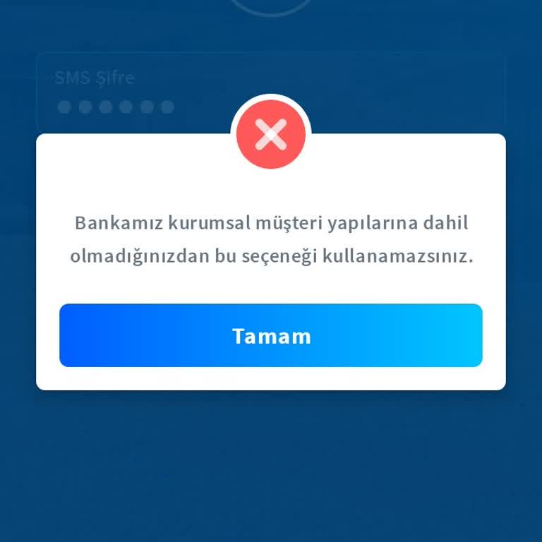 Kurumsal Hesaba Girişte Anlaşılmaz Hata Ve Erişim Sorunu
