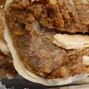 A101'den Son Kullanma Tarihi Geçmiş Ve Yabancı Maddeli Çiğköfte Dürüm Satışı