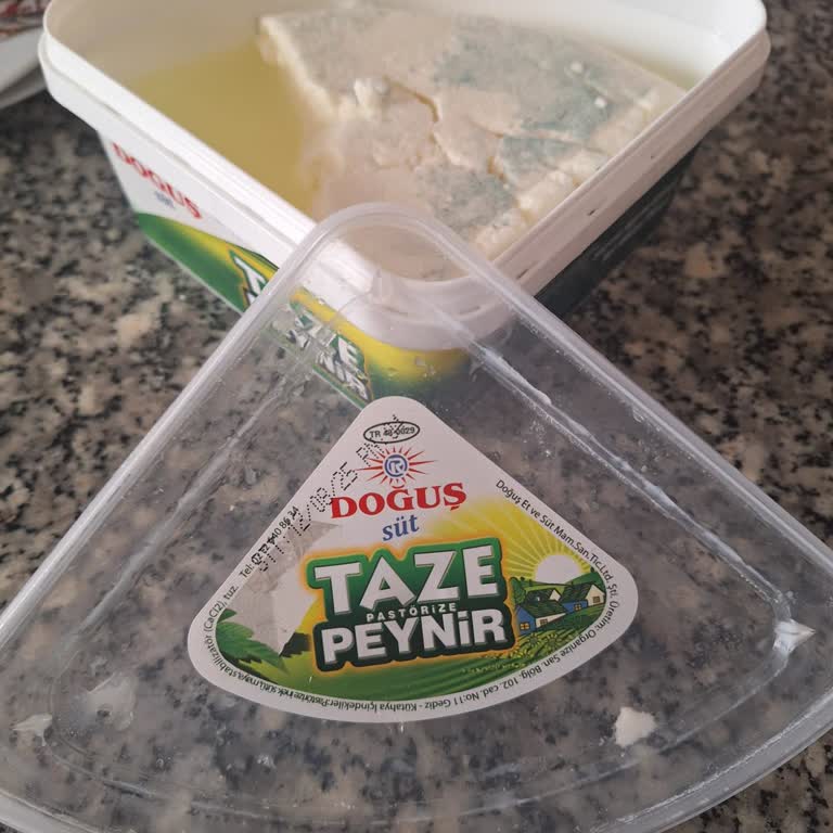 Son Kullanma Tarihi Geçmemiş Süt Peynirinin Erken Bozulması