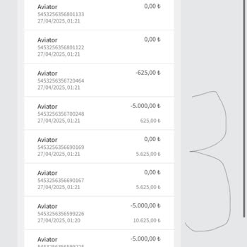 Hesabımdaki 30.000 TL Bir Anda Sıfırlandı, Müşteri Hizmetleri Çelişkili Yanıtlar Veriyor