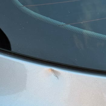 Araç Yıkama Sonrası Bagaj Kapağında Oluşan Göçük İçin Destek Talebi
