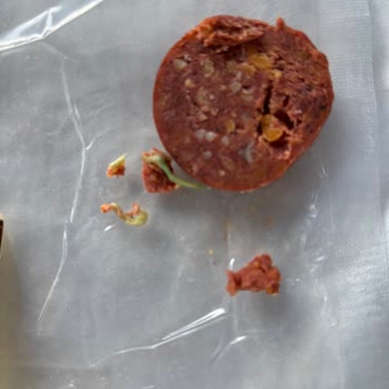 Ahmet İpek Sucukta Plastik Maddeyle Karşılaştım, İnsan Sağlığı Tehlikede