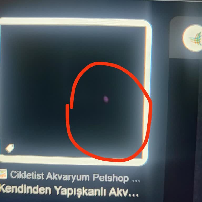 Lenovo Laptopumun Piksel Sorunu Çözülmüyor, Destek Alamıyorum