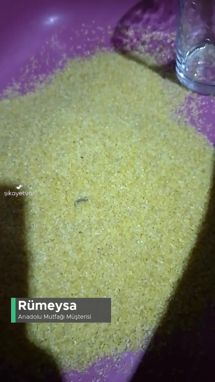 Anadolu Mutfağı Köftelik Bulgurdan Şikayetçiyim! videonun kapak resmi